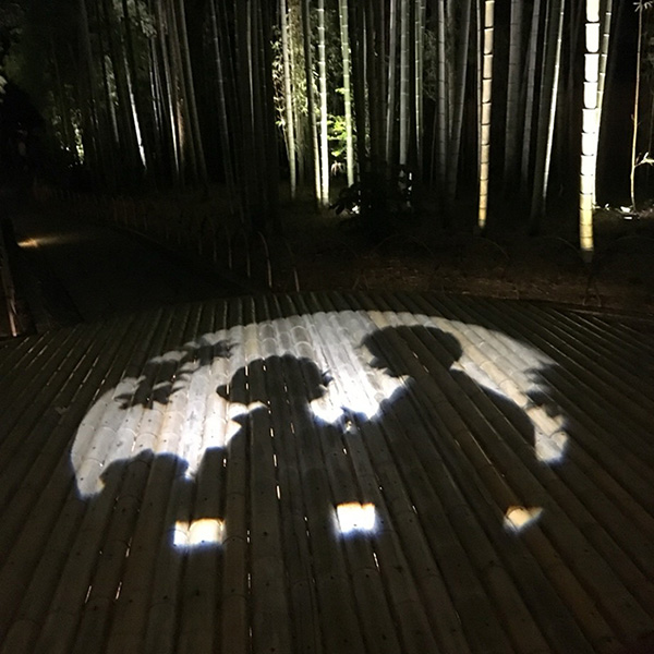 伊豆半島を盛り上げる未来を見据え、修善寺温泉のライトアップで観光客、住民も笑顔に。